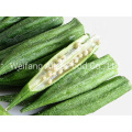 Factory Directly Sale Low Calories Healthy Vegetable Snacks Fried Okra Crispy Vf Okra